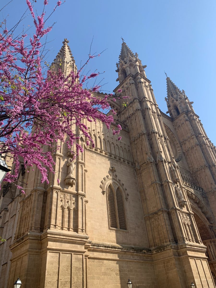 mallorca bucket list cathedral Palma de mallorca photo