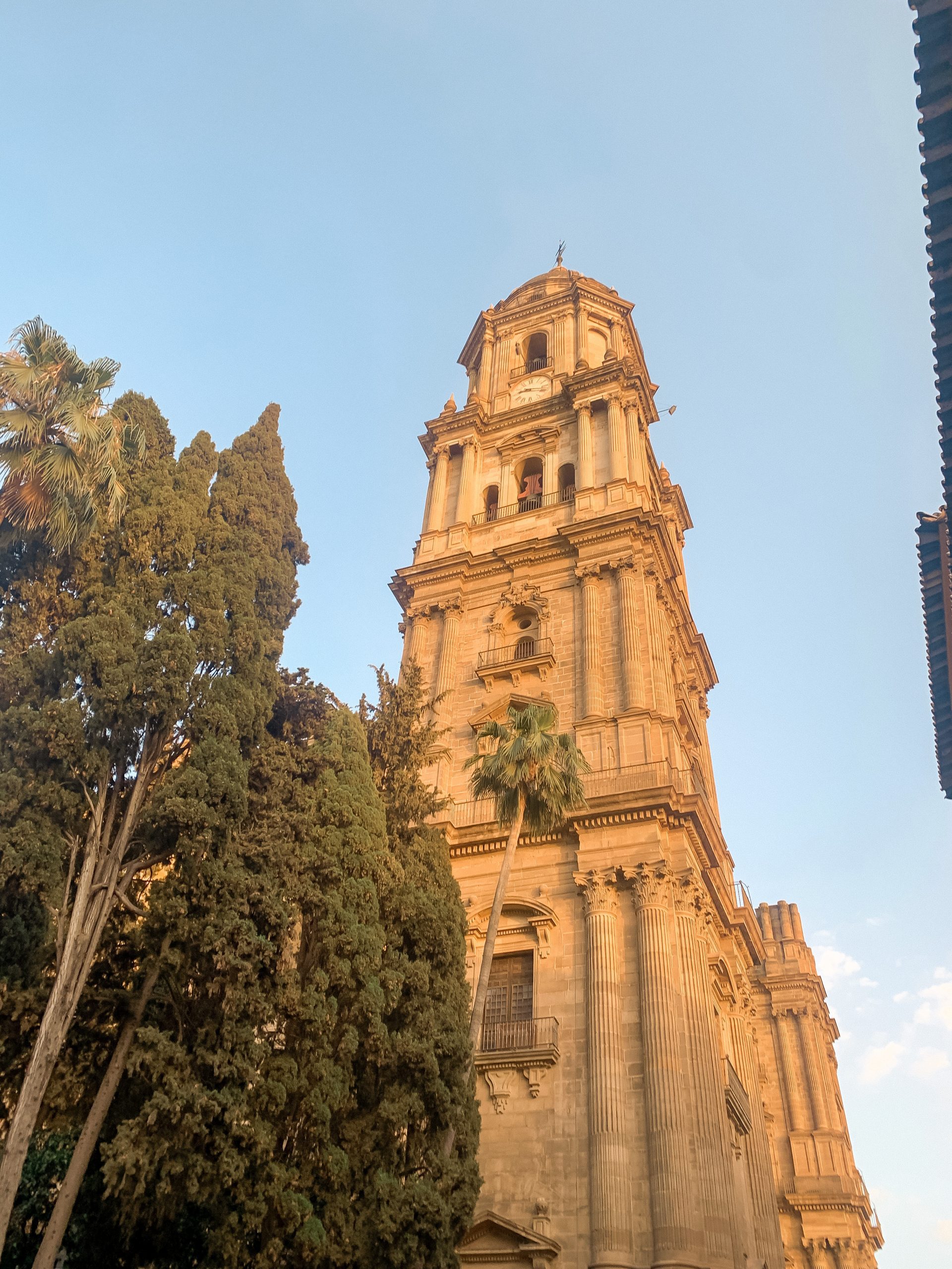 one day in malaga cathedral 2