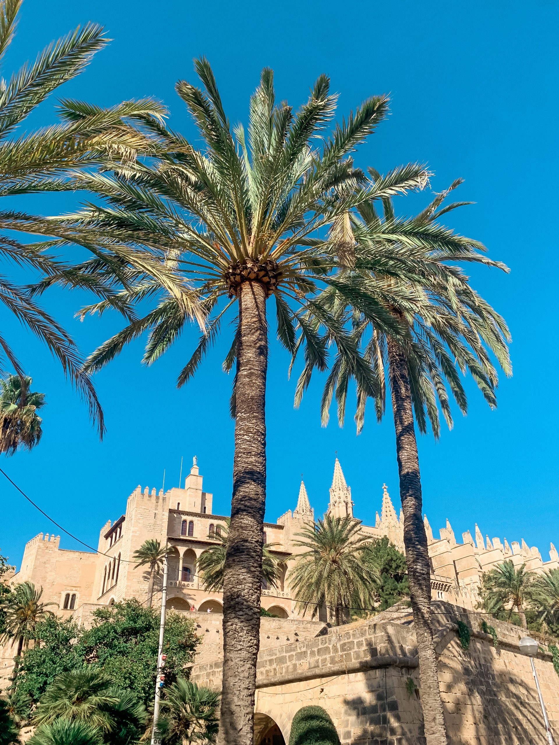 mallorca tips palma cathedral