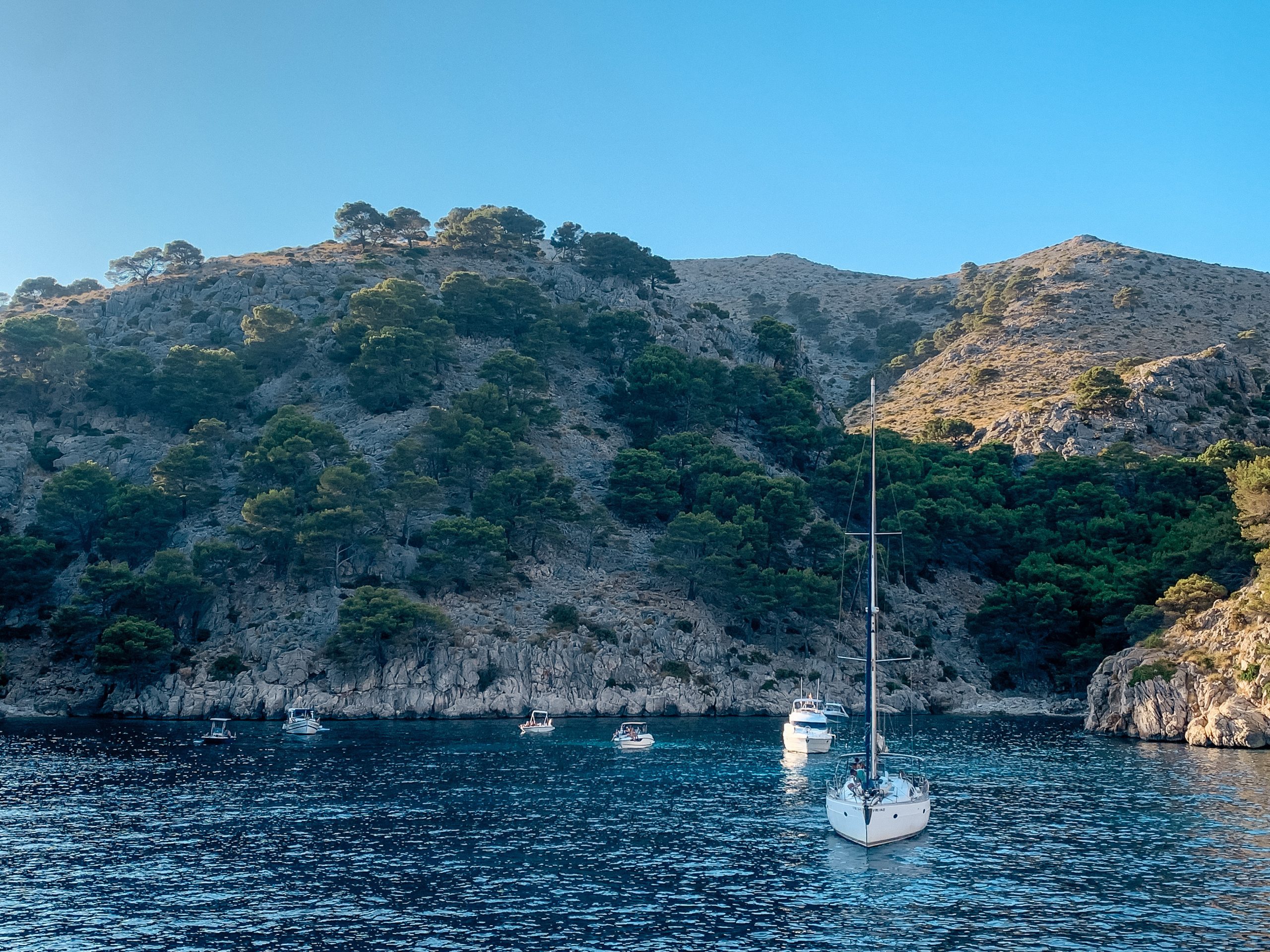 things to do in Alcudia boat trip landscape