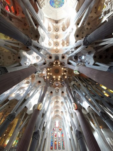 December in barcelona sagrada familia