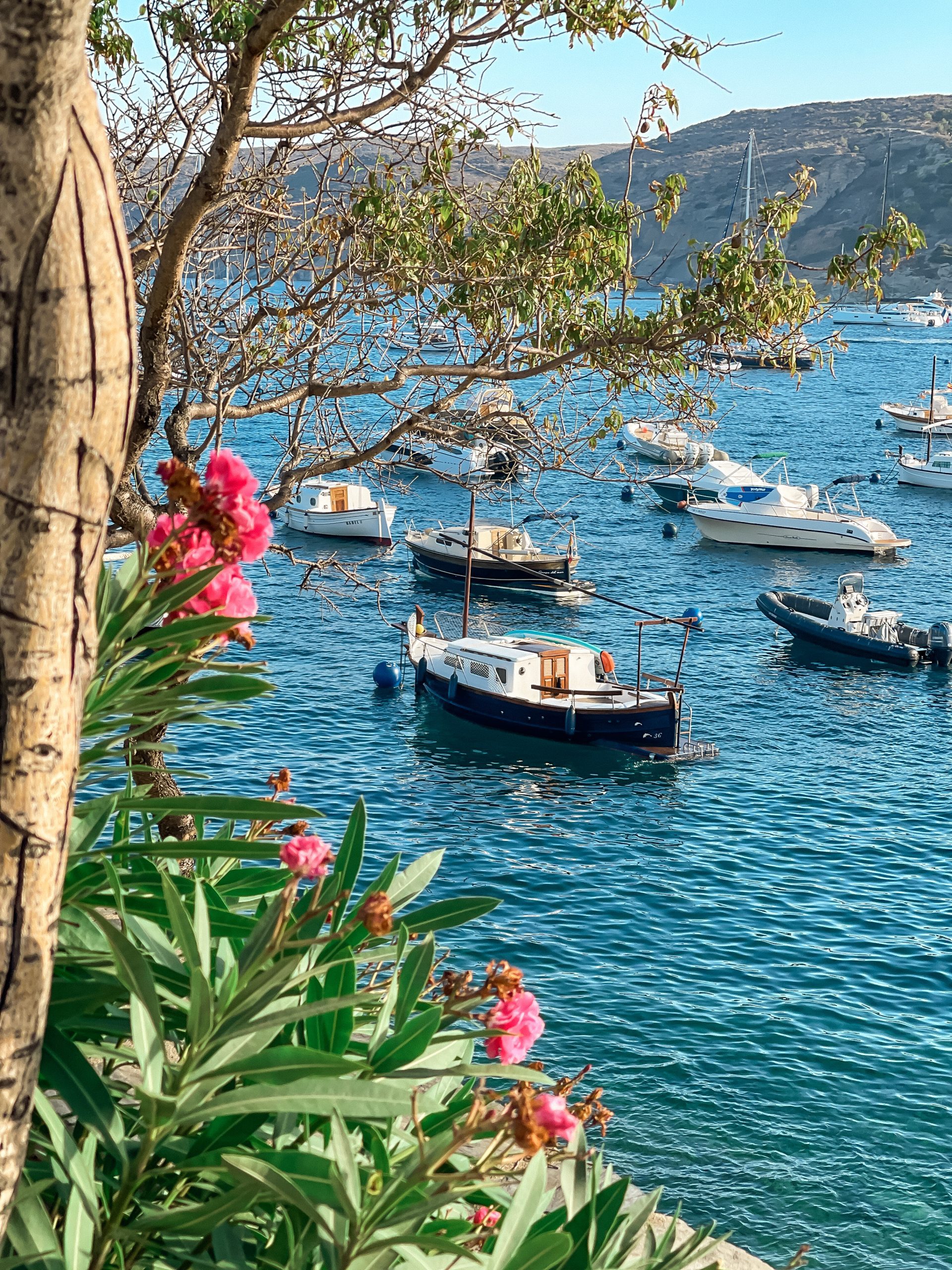 boat trip things to do in cadaques